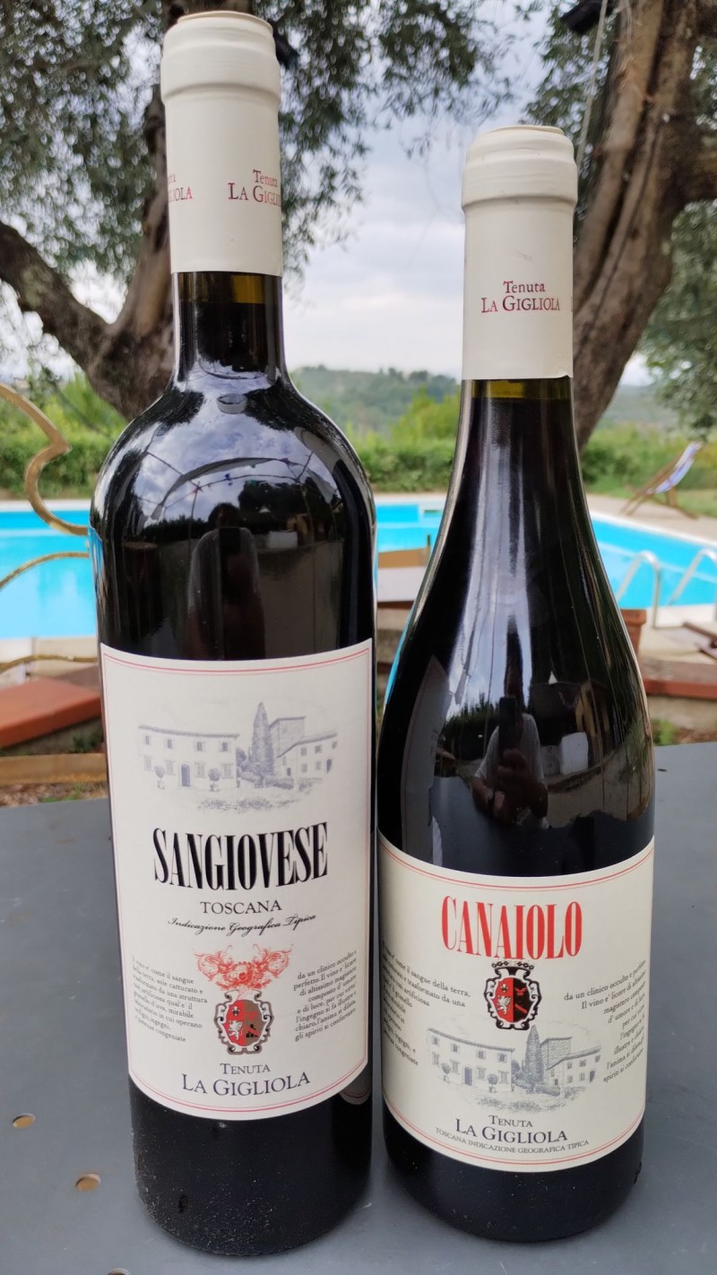 The New 2021 Vintage of Canaiolo and Sangiovese: Two Distinct Wines, an Unmistakable Terroir