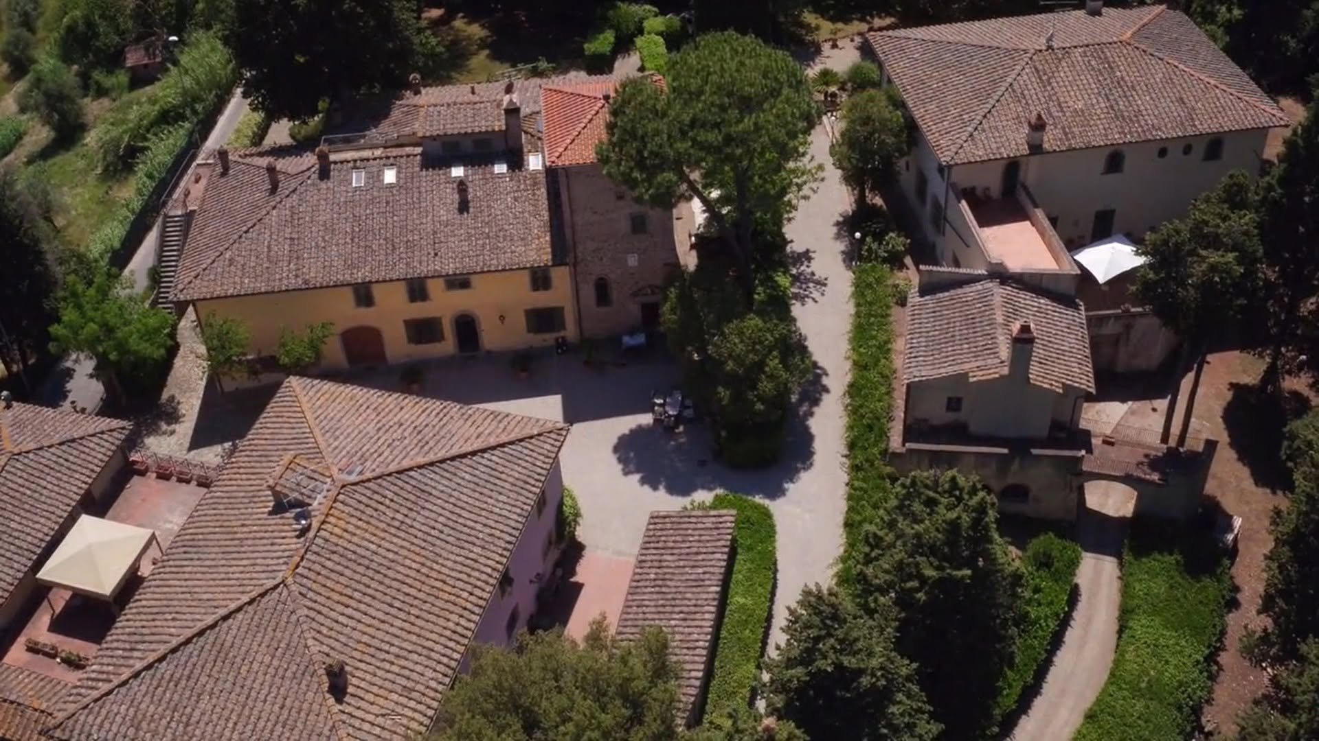 Vini e olio extravergine sulle colline del Chianti